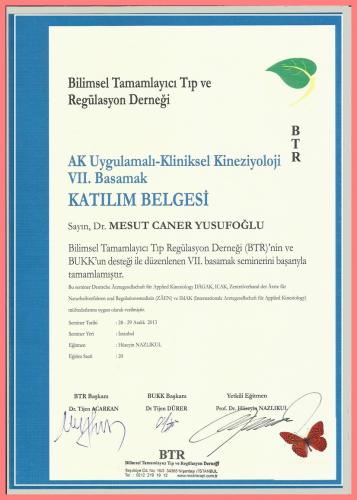AK Uygulamal - Kliniksel Kinezyoloji VII.Basamak Katlm Belgesi   